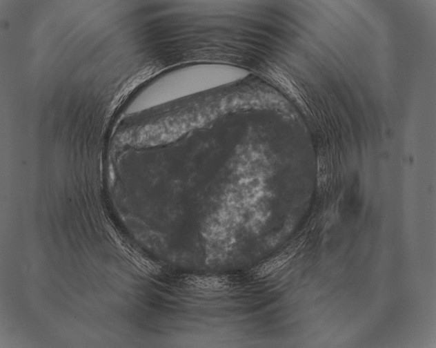 X0000087370349200705181222