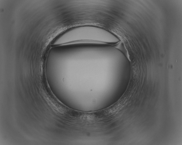 X0000087370350200705181222