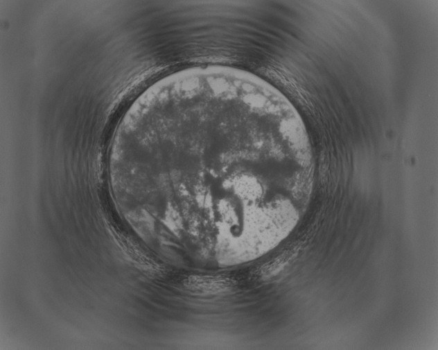 X0000087370351200705181222