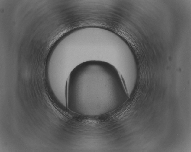 X0000087370352200705181222