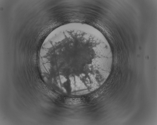 X0000087370353200705181222