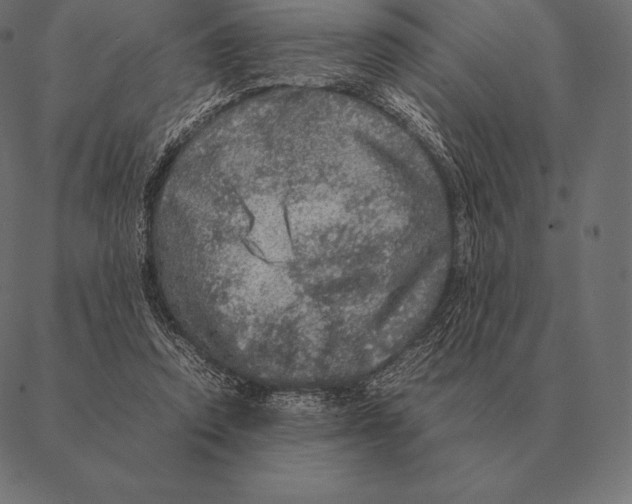 X0000087370354200705181222