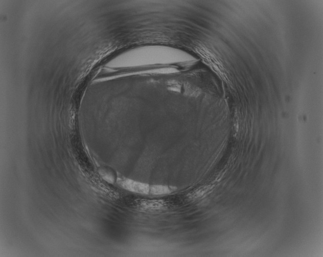 X0000087370355200705181222