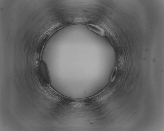 X0000087370356200705181222