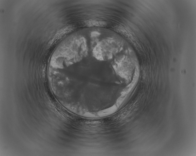 X0000087370357200705181222