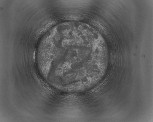 X0000087370358200705181222