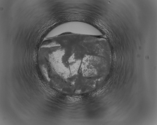 X0000087370359200705181222