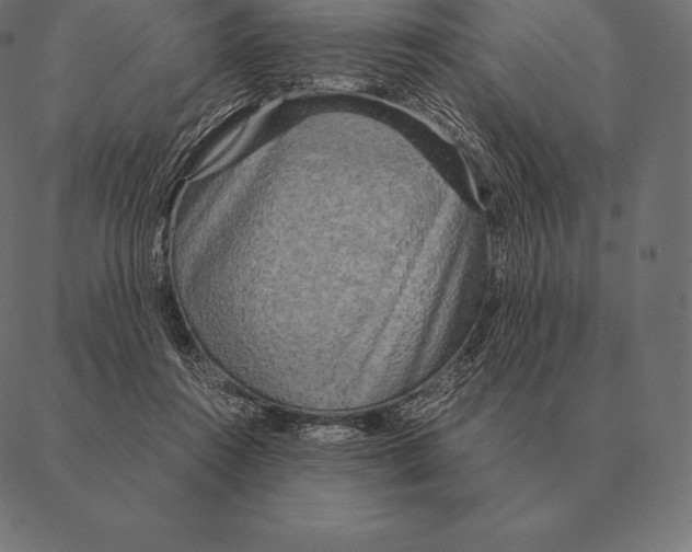 X0000087370360200705181222