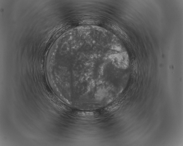 X0000087370361200705181222