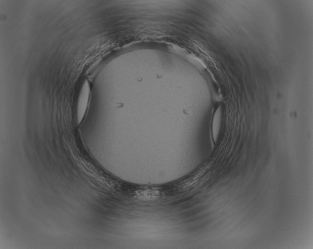 X0000087370362200705181222