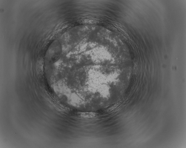 X0000087370363200705181222