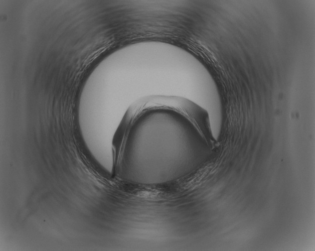 X0000087370364200705181222