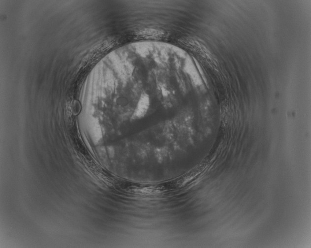 X0000087370365200705181222