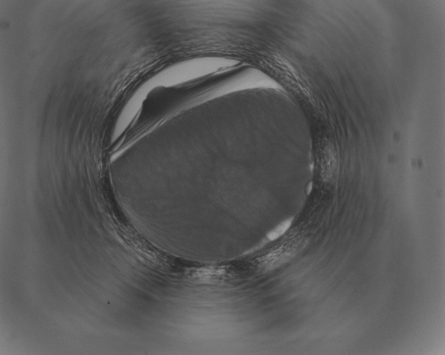 X0000087370366200705181222