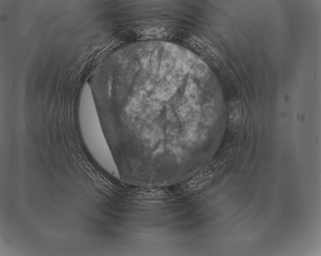 X0000087370369200705181222