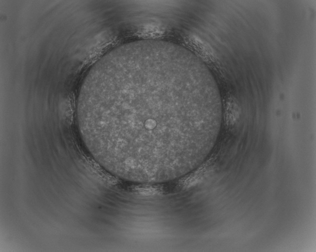 X0000087370370200705181222