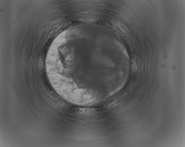 X0000087370371200705181222