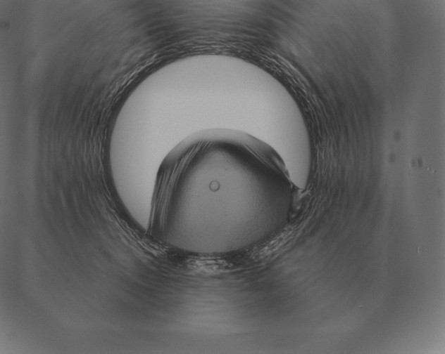 X0000087370372200705181222