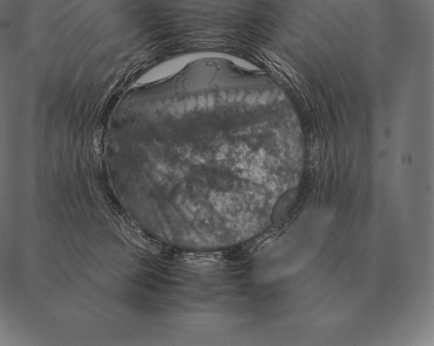 X0000087370373200705181223