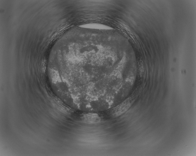 X0000087370374200705181223