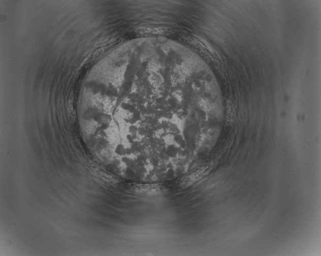 X0000087370377200705181223