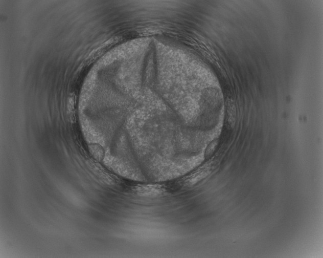 X0000087370378200705181223