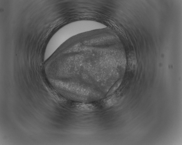 X0000087370379200705181223