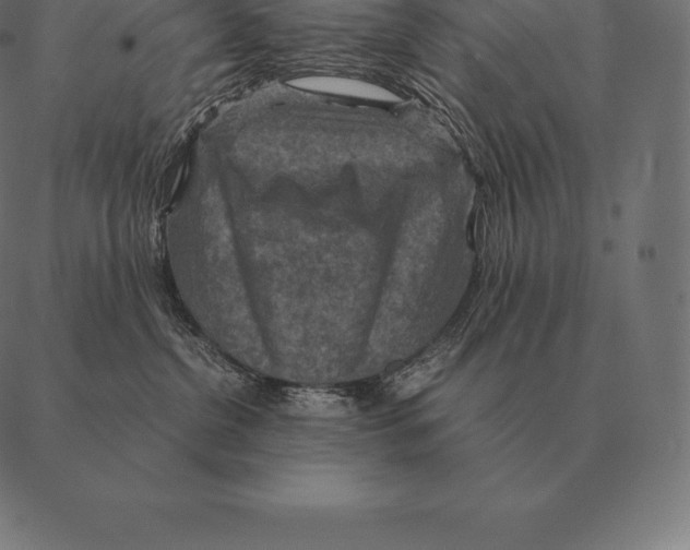 X0000087370380200705181223