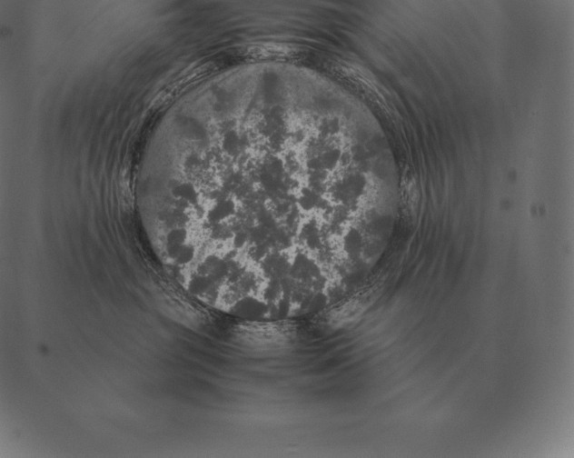 X0000087370381200705181223