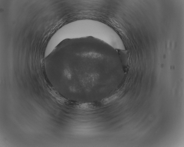 X0000087370382200705181223