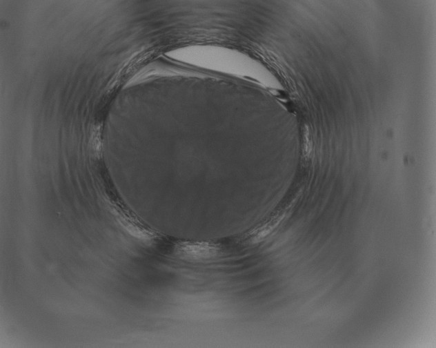 X0000087370383200705181223