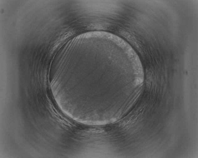 X0000087370386200705181222