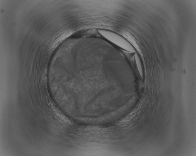 X0000087370389200705181222