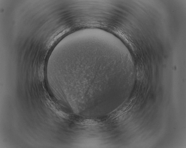 X0000087370390200705181222