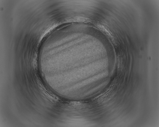 X0000087370392200705181222