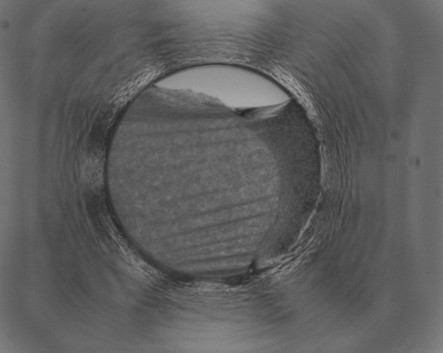 X0000087370393200705181222