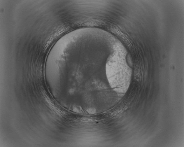 X0000087370394200705181222