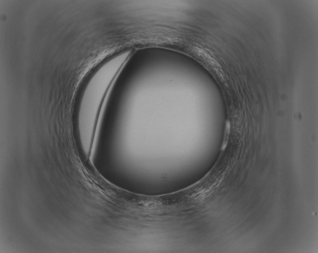 X0000087370395200705181222