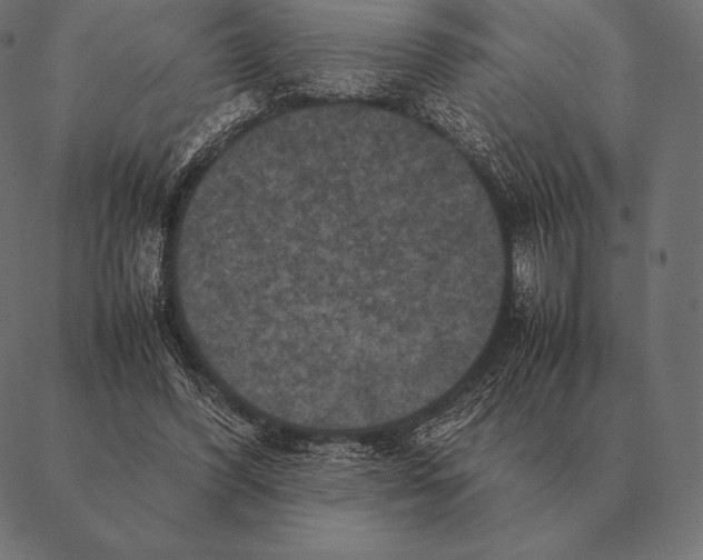 X0000087370396200705181222