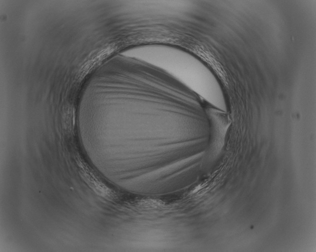 X0000087370397200705181222