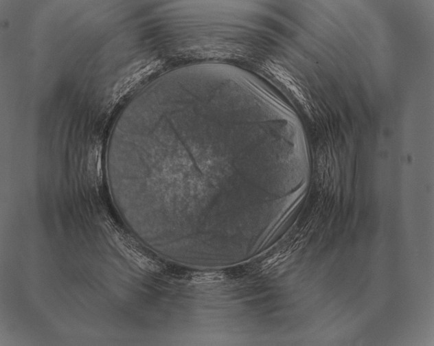 X0000087370398200705181222