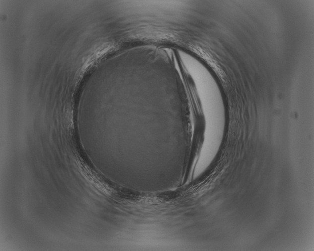 X0000087370399200705181222