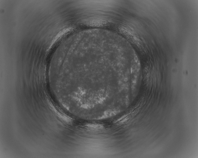 X0000087370400200705181222