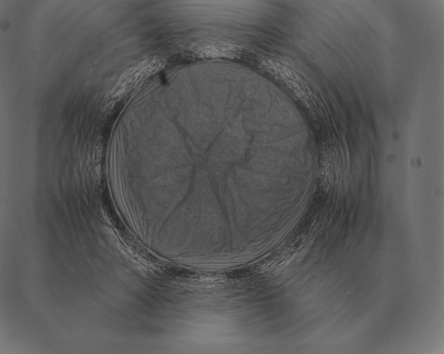 X0000087370402200705181222