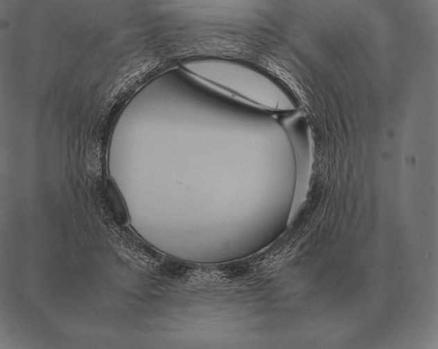 X0000087370403200705181222