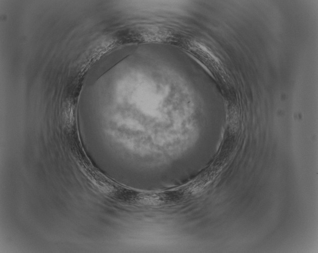 X0000087370405200705181222