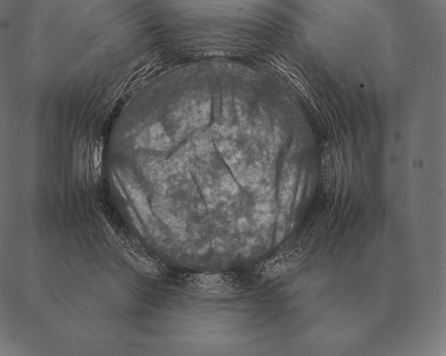 X0000087370406200705181222