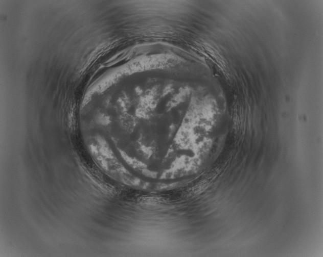 X0000087370408200705181222