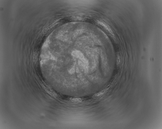 X0000087370409200705181222