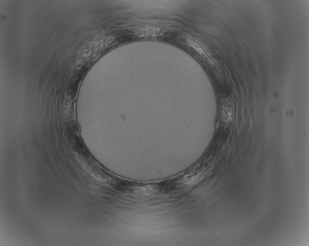 X0000087370411200705181221